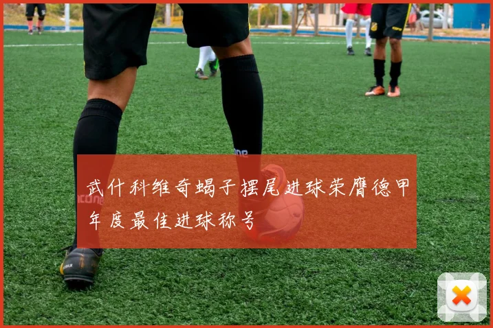 武什科维奇蝎子摆尾进球荣膺德甲年度最佳进球称号
