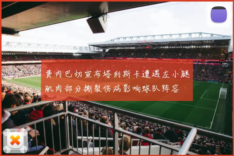 费内巴切宣布塔利斯卡遭遇左小腿肌肉部分撕裂伤病影响球队阵容