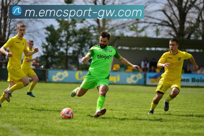 多媒体互动体验