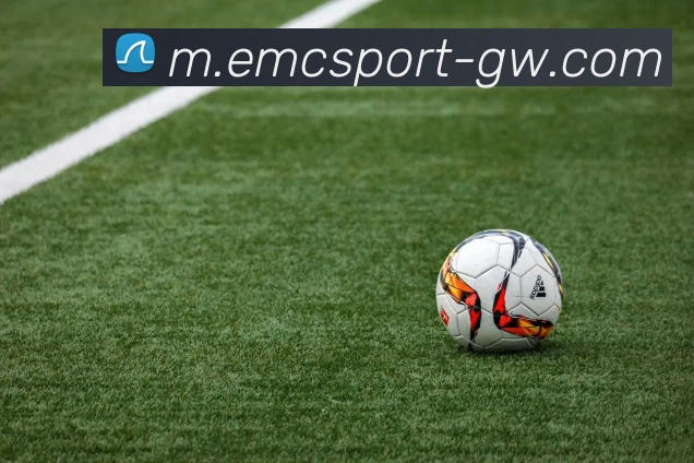 易倍体育APP 高清赛事图