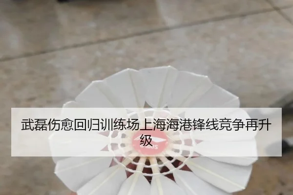 武磊伤愈回归训练场上海海港锋线竞争再升级 | EMCSPORTS